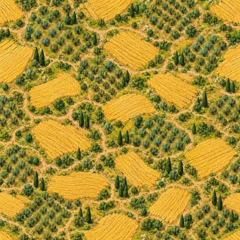 Ancient Rome: Ground: distant countryside
