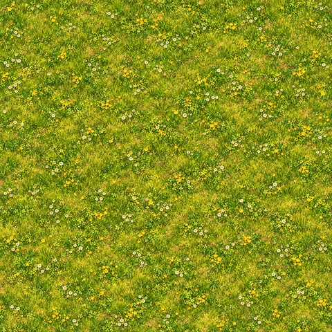 Ancient Rome: Ground: grass