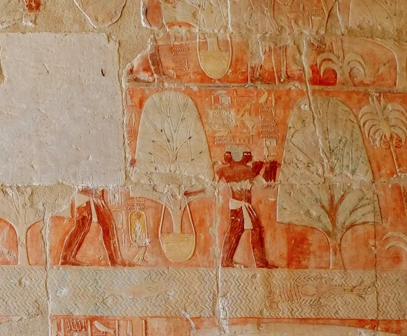 Men carry incense trees home from the land of Punt, carved in Queen Hatshepsut's temple at Deir el-Bahari.