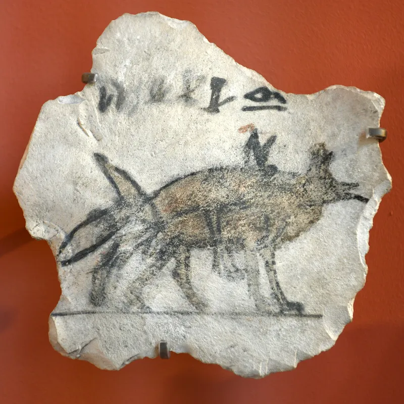 An ostracon, a flake of limestone used like scrap paper, with a drawing of an animal and some writing. Louvre, Paris.