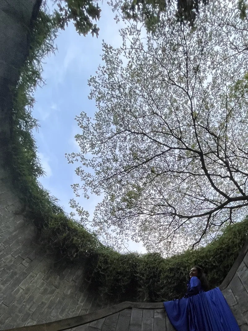 Looking up through a tunnel of trees in Fort Canning Park, Singapore.