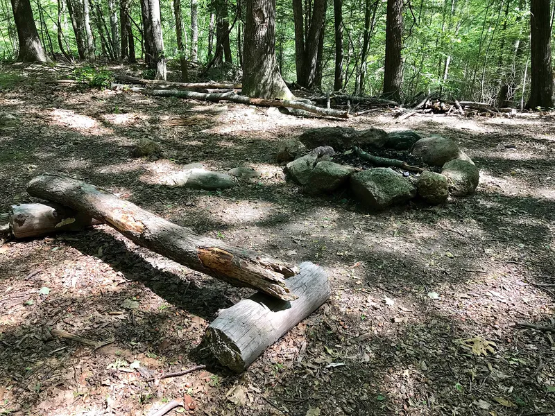 A stone campfire ring and log seating at a forest campsite.